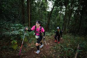 BIB: 
                            <button type="button" onclick="openModal(22555470)" class="btn btn-primary btn-sm float-right btn-popup" data-toggle="modal" data-target=".modal-high-quality">
                        <i class="fas fa-shopping-cart"></i> Add to Cart
                    </button>
                                            <button type="button" onclick="isThisMe(22555470, true)" class="btn btn-success btn-sm float-right btn-popup btn-isme hidden" data-toggle="tooltip" data-placement="bottom" title="นี่คือรูปของคุณใช่ไหม คลิกที่นี่เพื่อเอาเข้าอัลบั้ม">
                        <i class="fas fa-plus"></i> Add to album
                    </button>
                    <button type="button" onclick="isThisMe(22555470, false)" class="btn btn-warning btn-sm float-right btn-popup btn-isnotme hidden">
                        <i class="fas fa-ban"></i> Remove from album
                    </button>